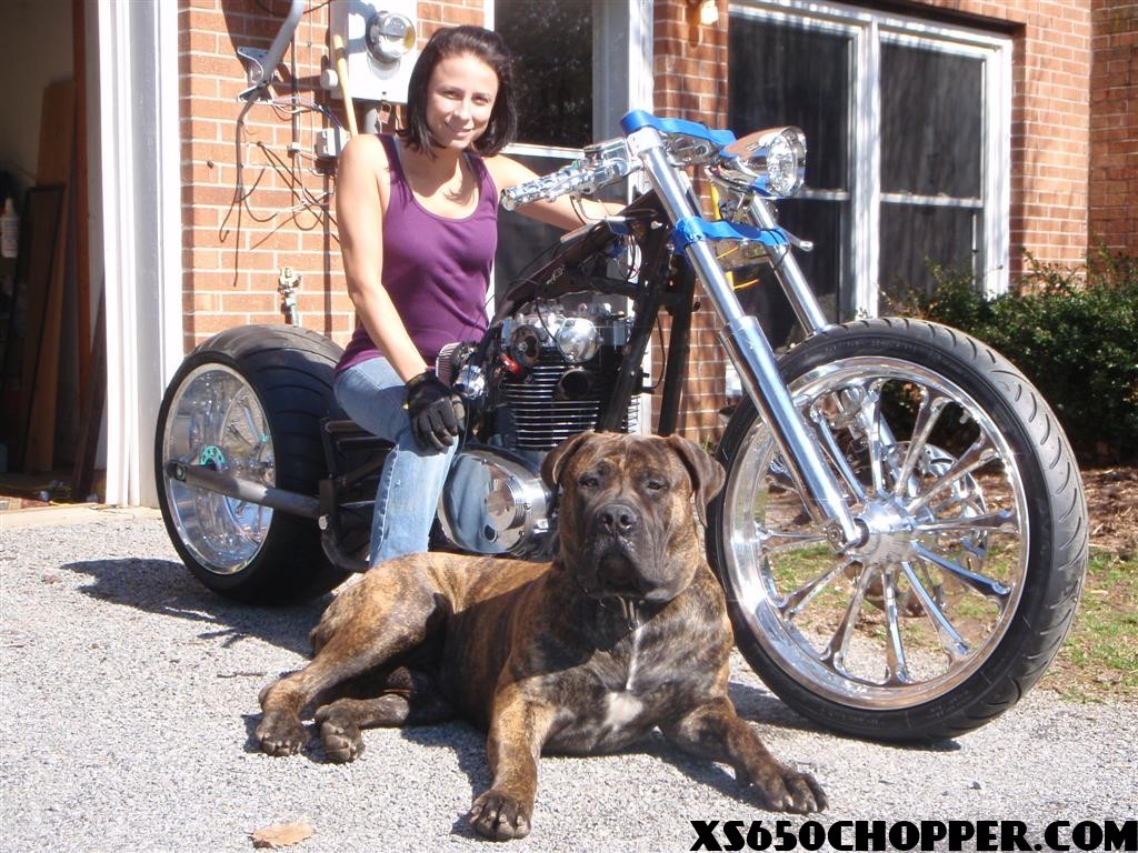 noid p3170026 large 650 wide tire update