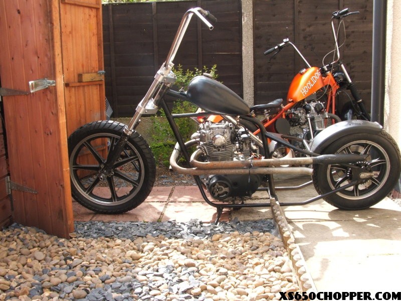 noid-rota6008 noid rota6008 Chazz xs bobbers