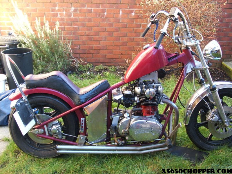 noid-triumph022 noid triumph022 Chazz xs bobbers