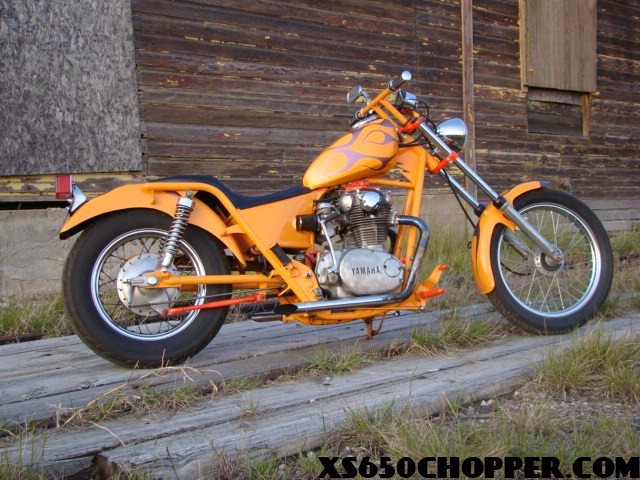 noid-dsc01293 noid dsc01293 orange crush