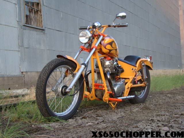 noid-dsc01305 noid dsc01305 orange crush