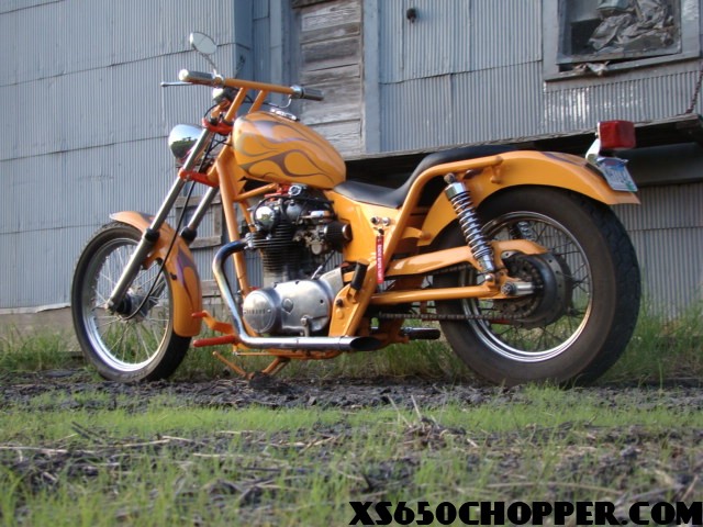 noid-dsc01307 noid dsc01307 orange crush
