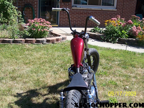 noid 3 Update on my bratty xs650