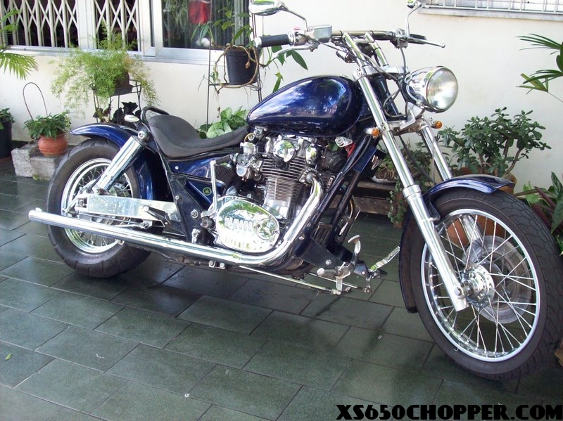 noid-tx_cal noid tx cal OZASZKO BRAZIL xs
