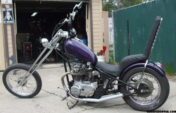 noid-5-2-2010_yamy_chop_001 noid 5 2 2010 yamy chop 001 587x378 the 81 is done ( the long purple monster